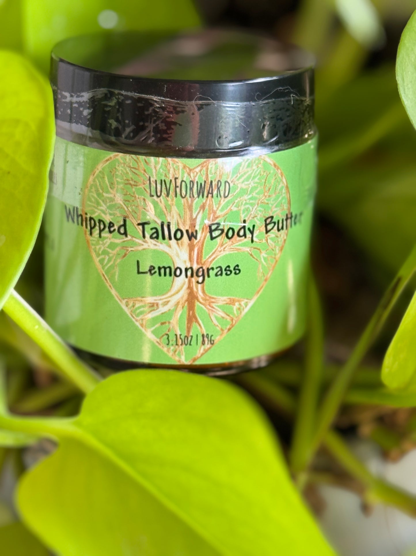Whipped Tallow Body Butter